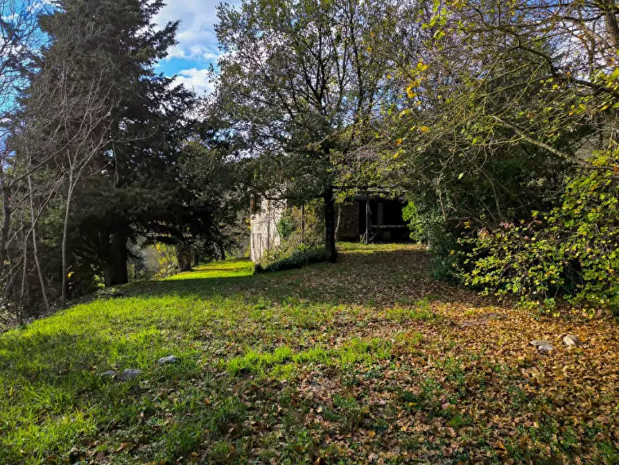 Immagine 30 di Casa indipendente in vendita  in Località Casino Leandri a Piandimeleto