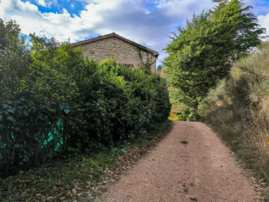 Immagine 31 di Casa indipendente in vendita  in Località Casino Leandri a Piandimeleto