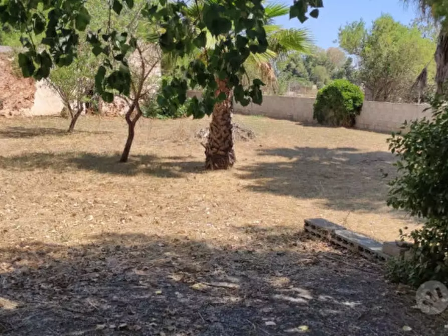 Immagine 5 di Terreno in vendita  in Via Gabriele D'Annunzio a Taviano