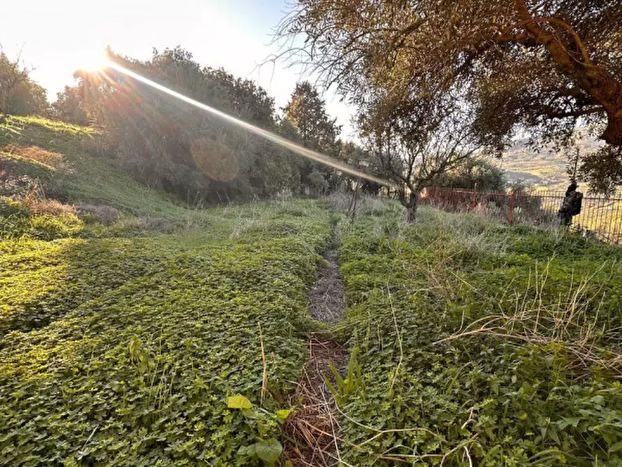 Immagine 37 di Appartamento in vendita  in CONTRADA BOSCO a Bolognetta