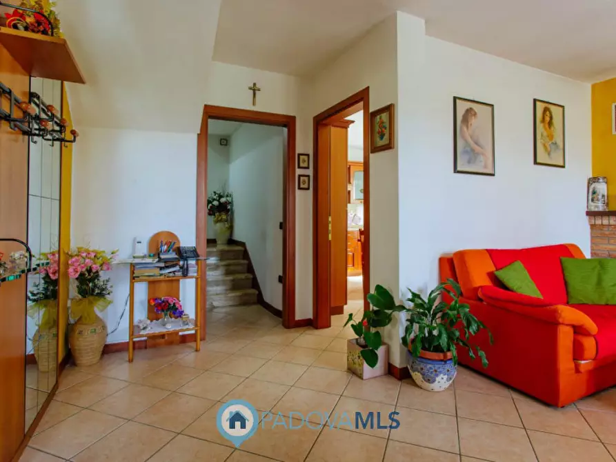 Immagine 3 di Casa indipendente in vendita  in Via Cornoledo a Pernumia