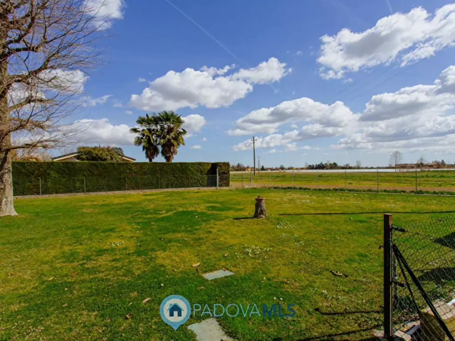 Immagine 16 di Casa indipendente in vendita  in Via Cornoledo a Pernumia