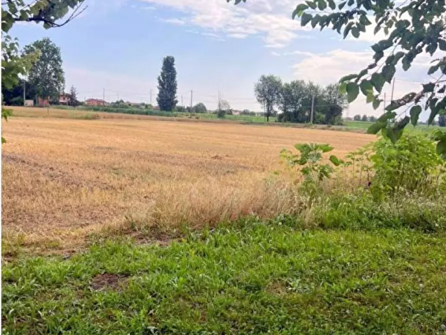 Immagine 2 di Casa bifamiliare in vendita  in Via Cuoro a Solesino