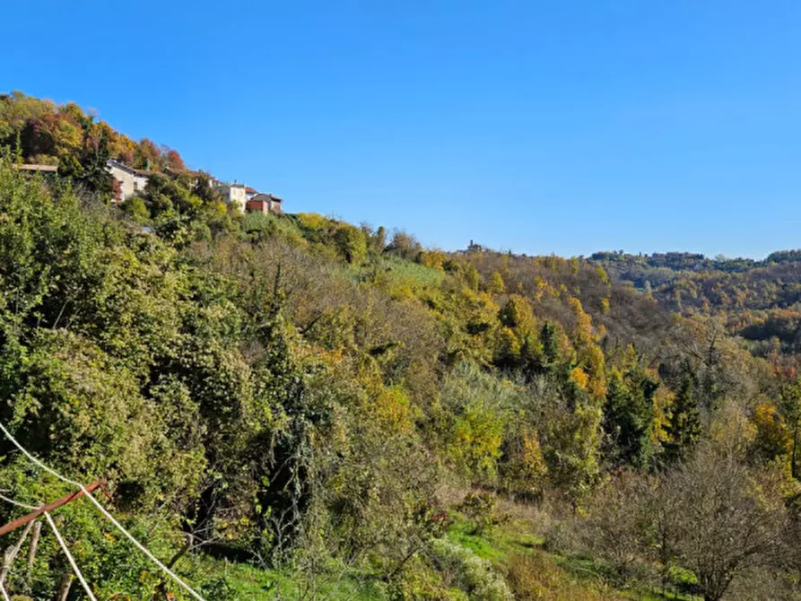 Immagine 3 di Casa indipendente in vendita  in Via Battaglia 11 a Villamiroglio
