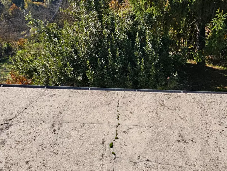 Immagine 19 di Casa indipendente in vendita  in Via Battaglia 11 a Villamiroglio