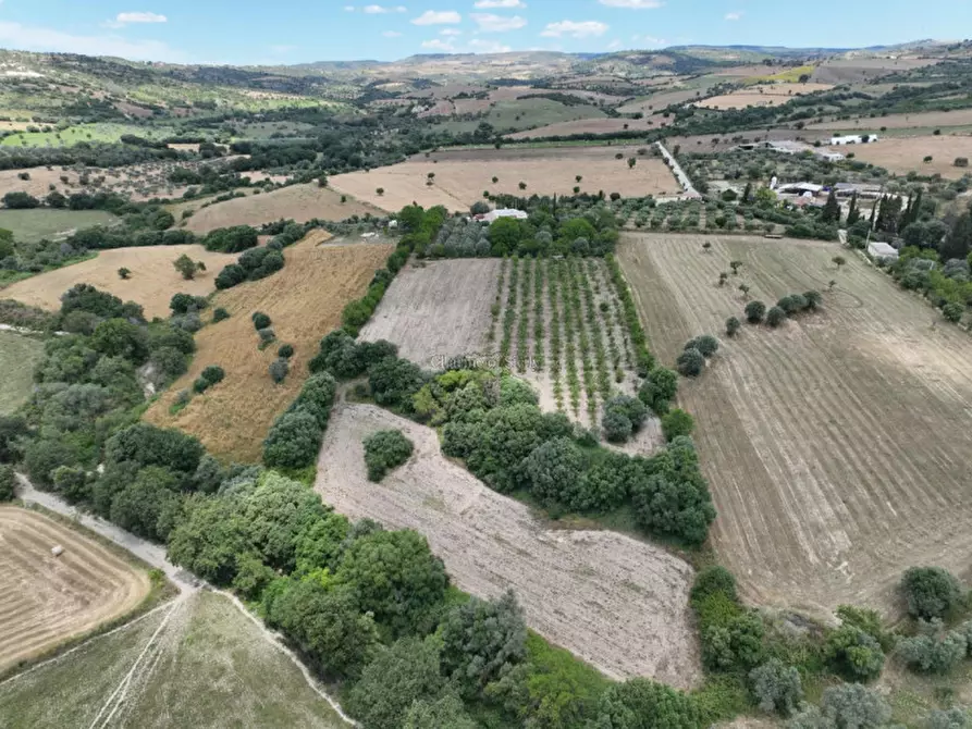 Immagine 2 di Casa indipendente in vendita  a Noto