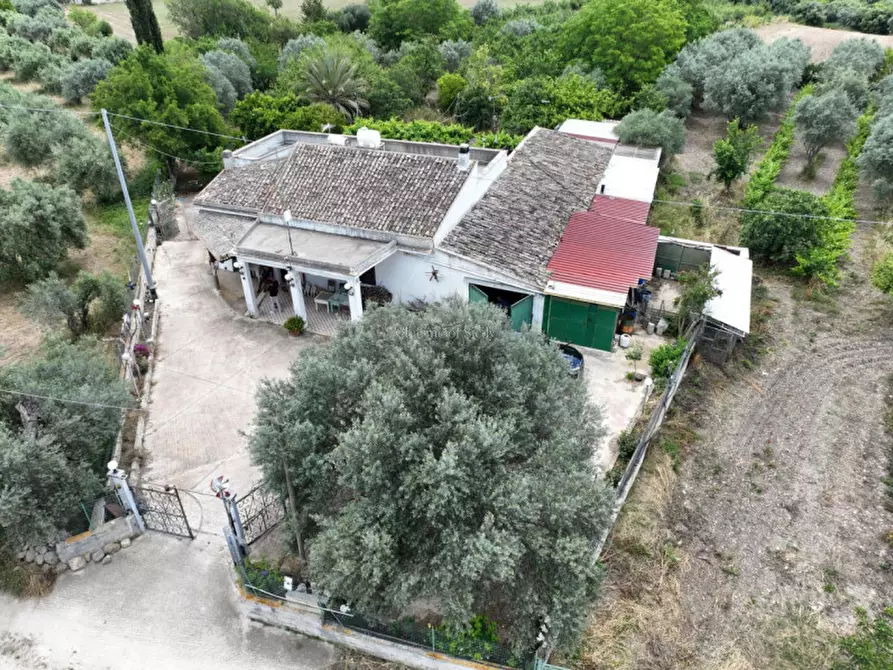 Immagine 3 di Casa indipendente in vendita  a Noto