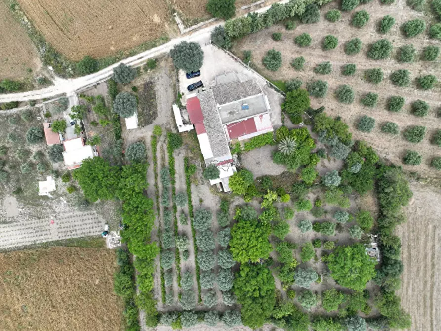 Immagine 21 di Casa indipendente in vendita  a Noto