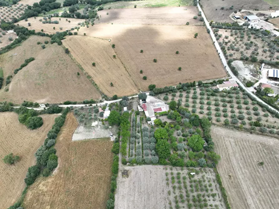 Immagine 22 di Casa indipendente in vendita  a Noto