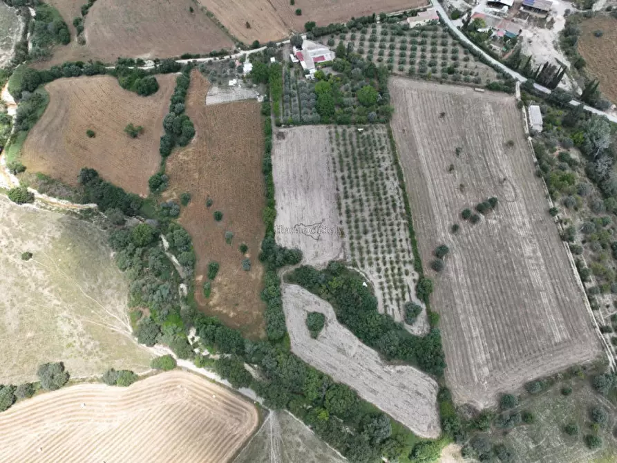 Immagine 23 di Casa indipendente in vendita  a Noto