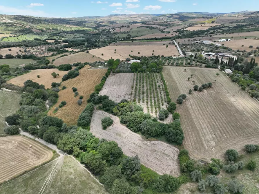 Immagine 37 di Casa indipendente in vendita  a Noto
