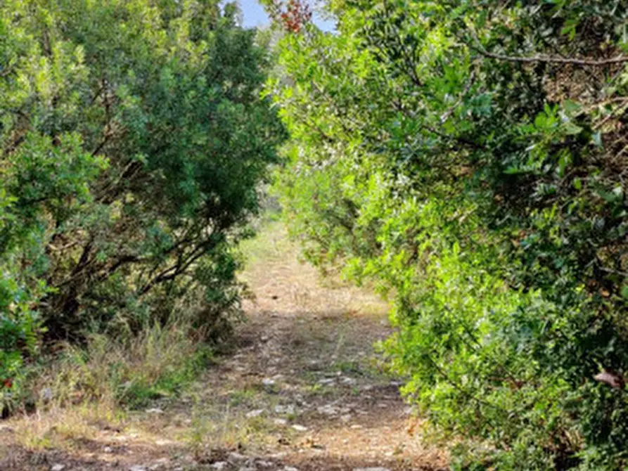 Immagine 19 di Casa indipendente in vendita  in SP 85 a Buccino