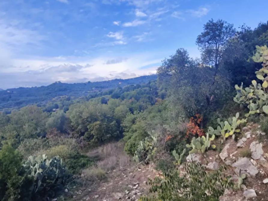 Immagine 38 di Casa indipendente in vendita  in SP 85 a Buccino