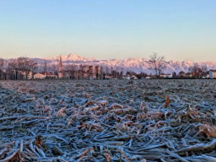 Immagine 2 di Terreno in vendita  in Via Molin Brusa a Cordenons