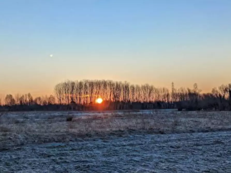Immagine 3 di Terreno in vendita  in Via Molin Brusa a Cordenons