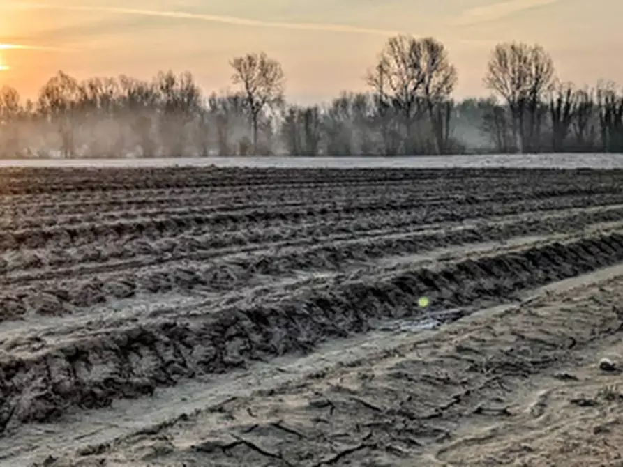 Immagine 4 di Terreno in vendita  in Via Molin Brusa a Cordenons