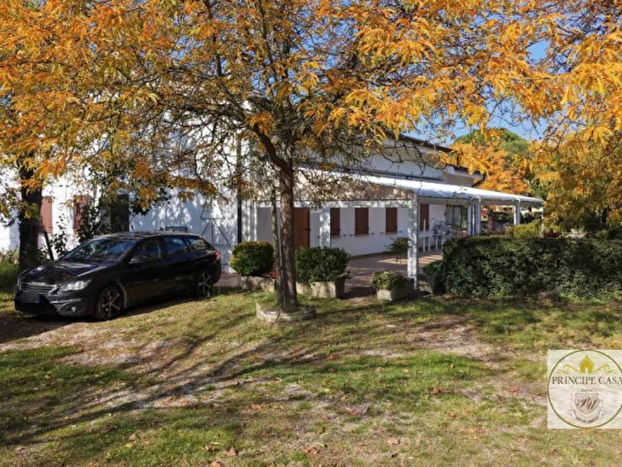 Immagine 2 di Attività commerciale in vendita  in via cavalcaressa a Cinto Euganeo