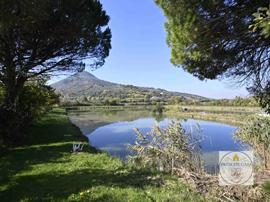 Immagine 4 di Attività commerciale in vendita  in via cavalcaressa a Cinto Euganeo