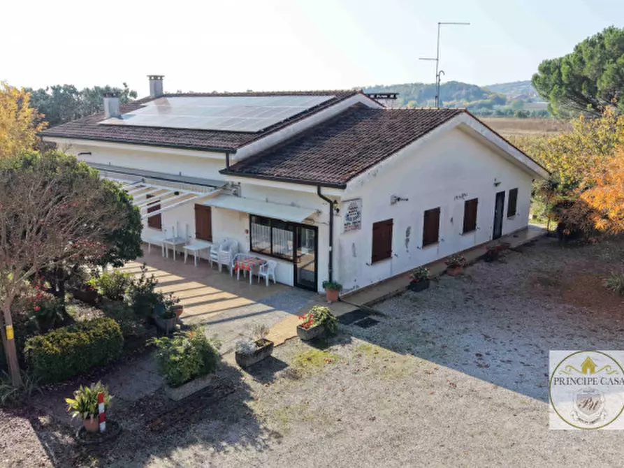 Immagine 5 di Attività commerciale in vendita  in via cavalcaressa a Cinto Euganeo