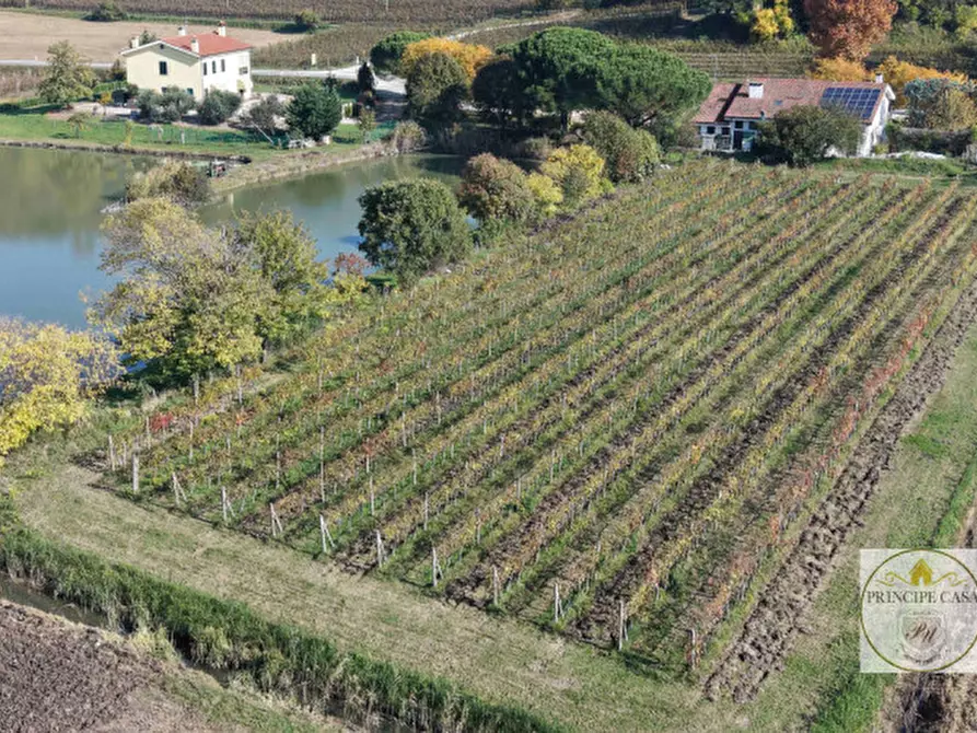 Immagine 7 di Attività commerciale in vendita  in via cavalcaressa a Cinto Euganeo