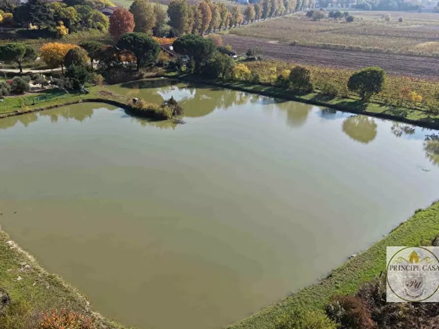 Immagine 8 di Attività commerciale in vendita  in via cavalcaressa a Cinto Euganeo