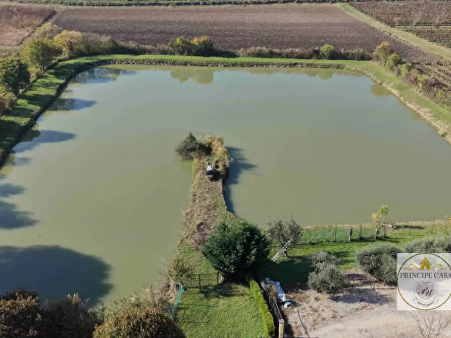 Immagine 9 di Attività commerciale in vendita  in via cavalcaressa a Cinto Euganeo