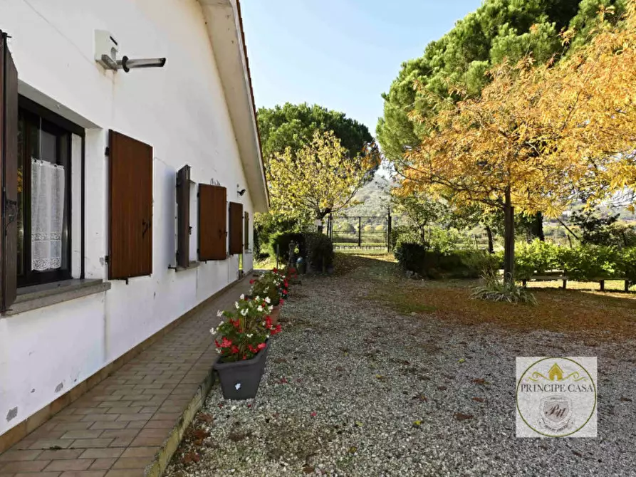 Immagine 22 di Attività commerciale in vendita  in via cavalcaressa a Cinto Euganeo