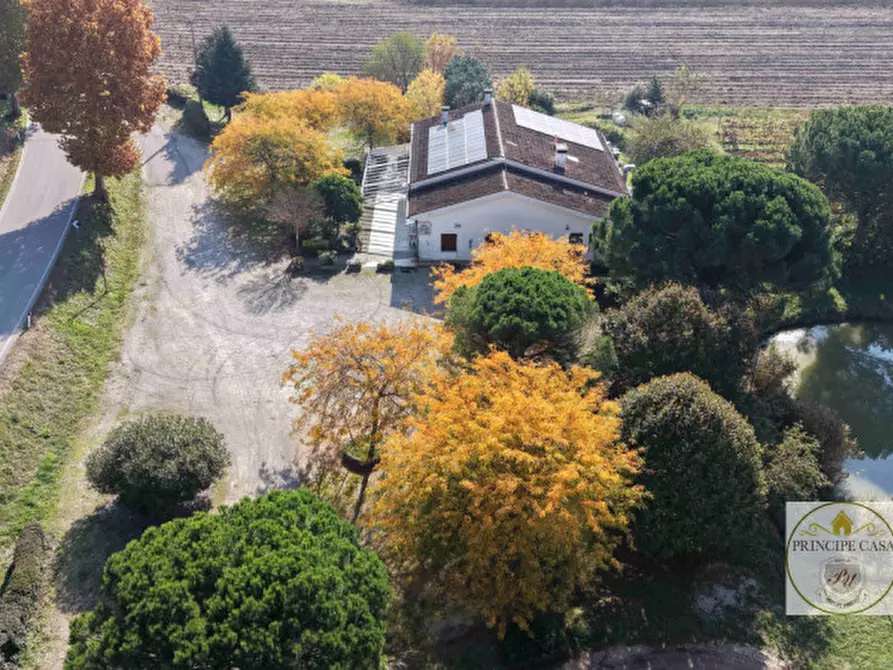 Immagine 23 di Attività commerciale in vendita  in via cavalcaressa a Cinto Euganeo