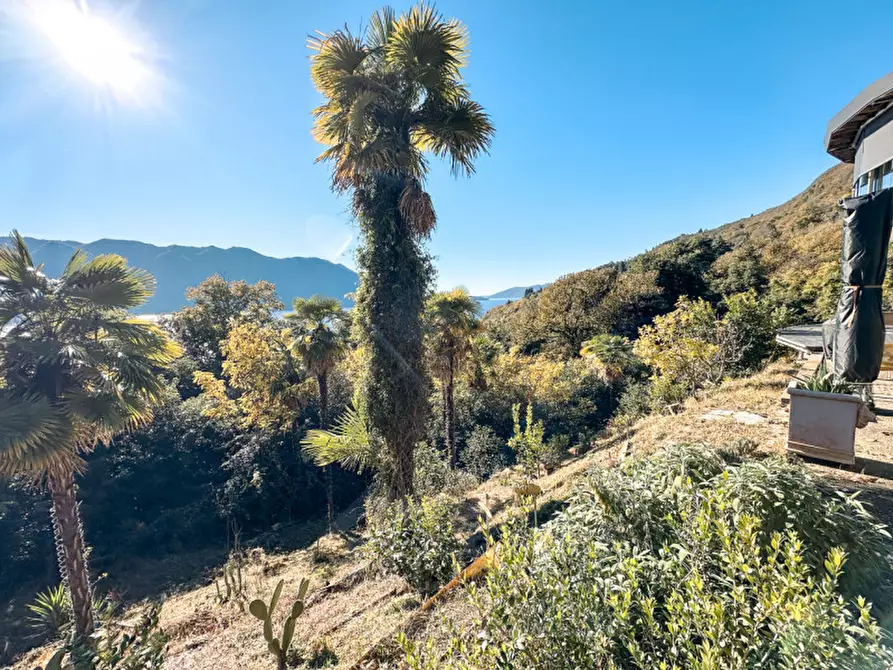 Immagine 30 di Villa in vendita  in corso risorgimento 348 a Ghiffa