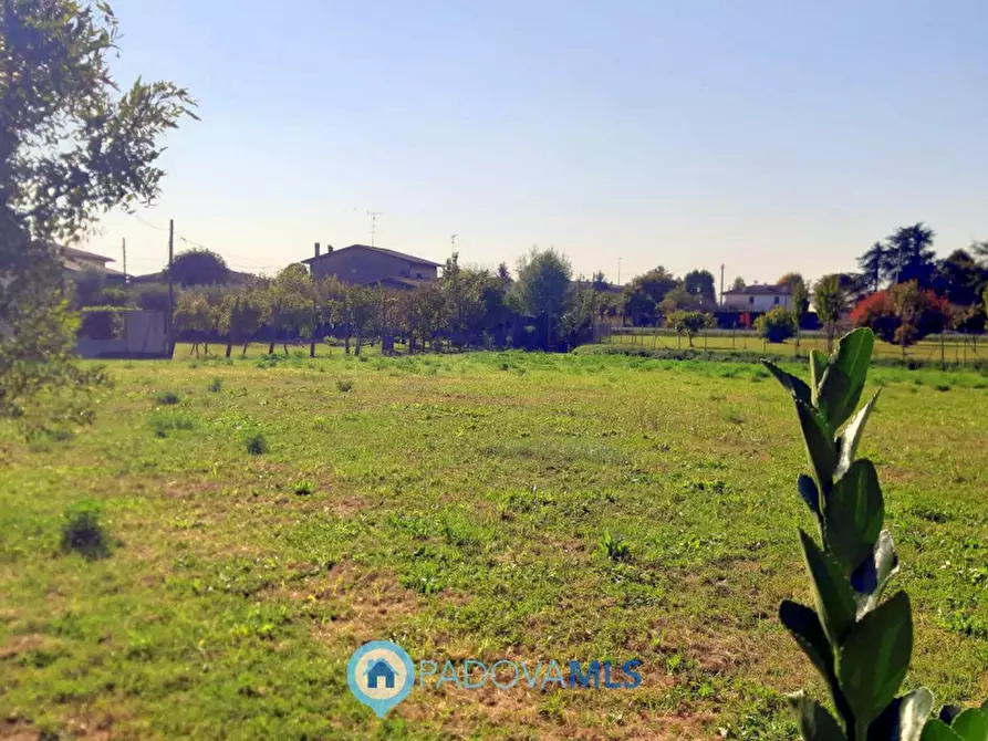 Immagine 8 di Casa indipendente in vendita  in Via Pozzonovo a Monselice