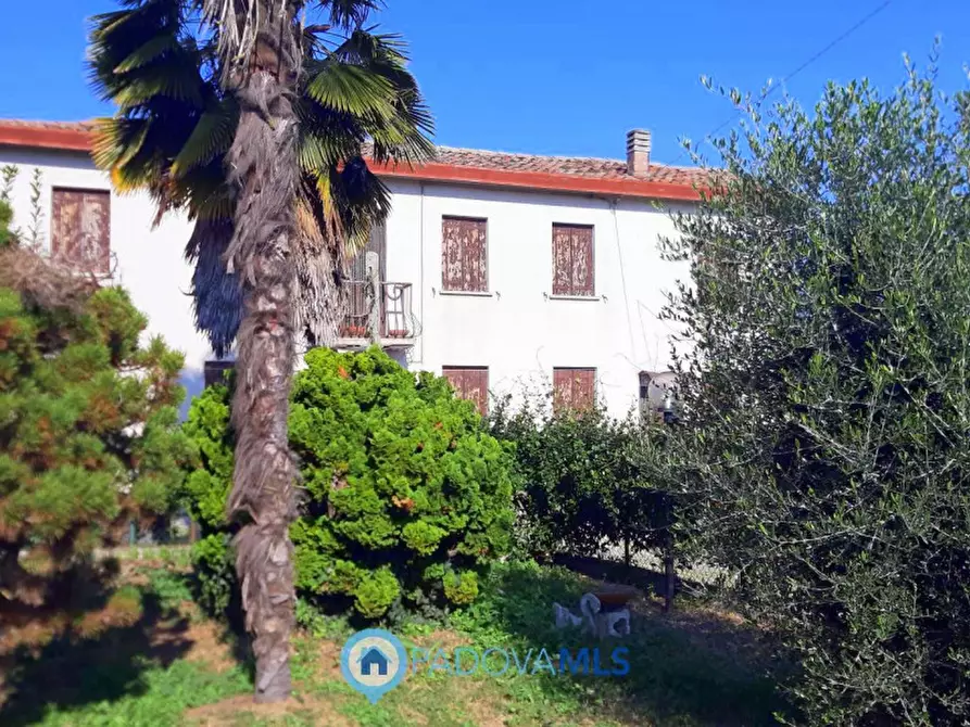 Immagine 9 di Casa indipendente in vendita  in Via Pozzonovo a Monselice