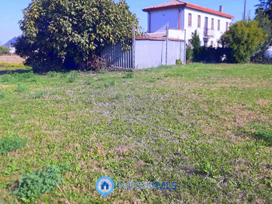 Immagine 11 di Casa indipendente in vendita  in Via Pozzonovo a Monselice