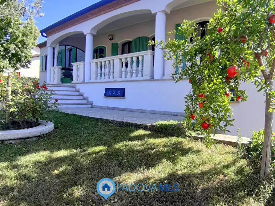 Immagine 2 di Villa in vendita  in Via Maso a Baone