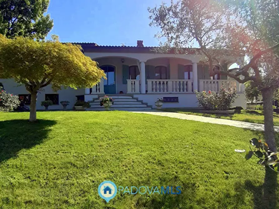 Immagine 4 di Villa in vendita  in Via Maso a Baone