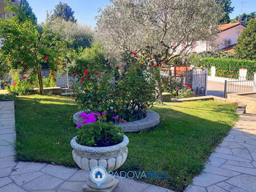 Immagine 13 di Villa in vendita  in Via Maso a Baone