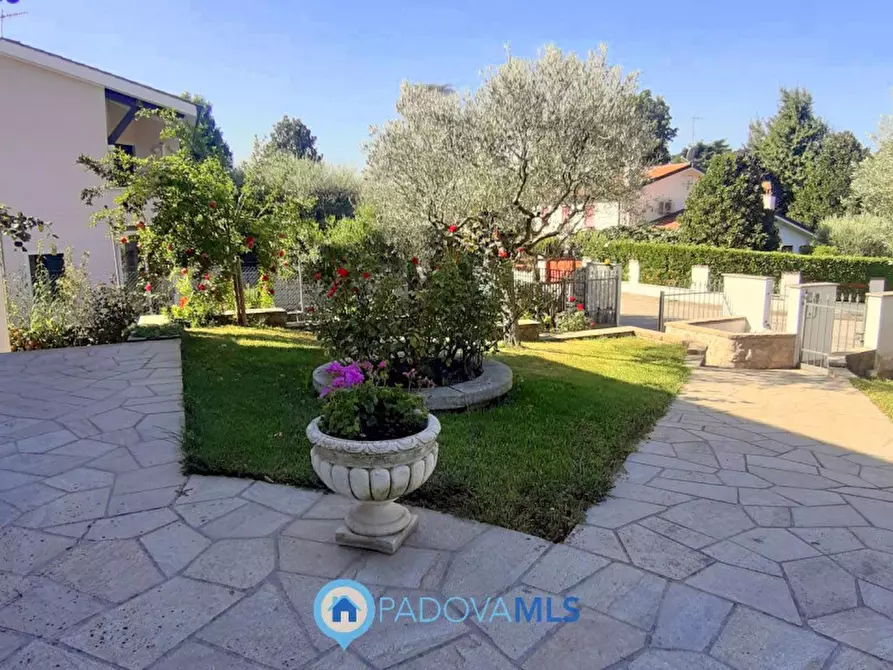 Immagine 14 di Villa in vendita  in Via Maso a Baone