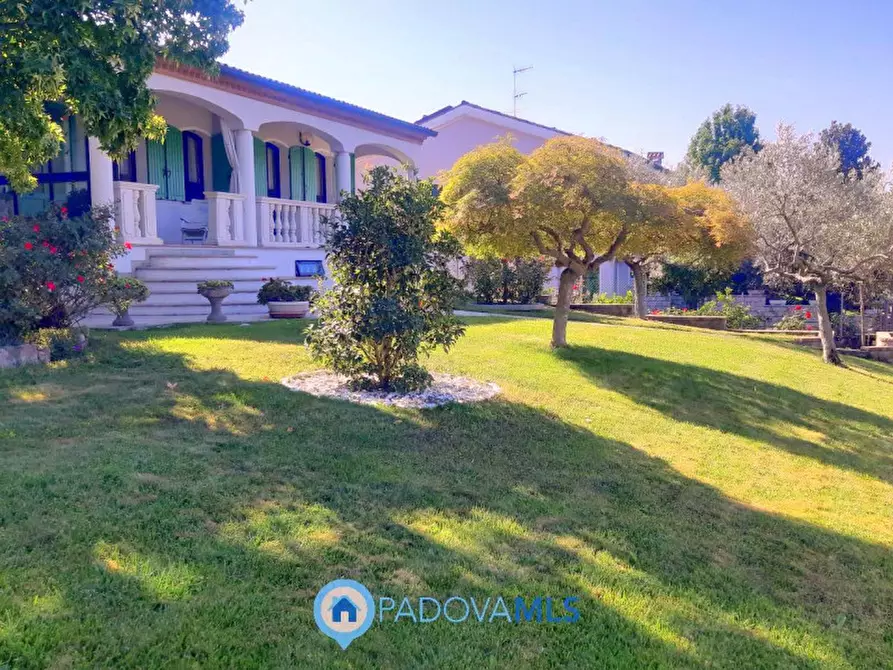 Immagine 16 di Villa in vendita  in Via Maso a Baone