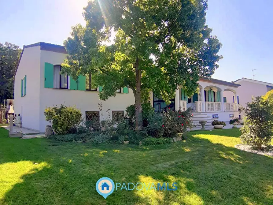 Immagine 18 di Villa in vendita  in Via Maso a Baone