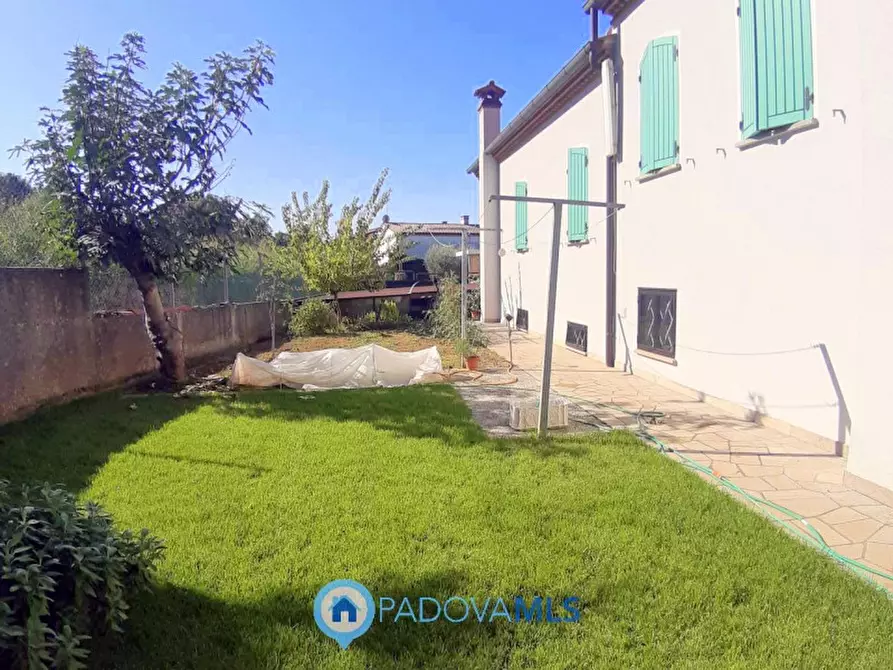 Immagine 22 di Villa in vendita  in Via Maso a Baone