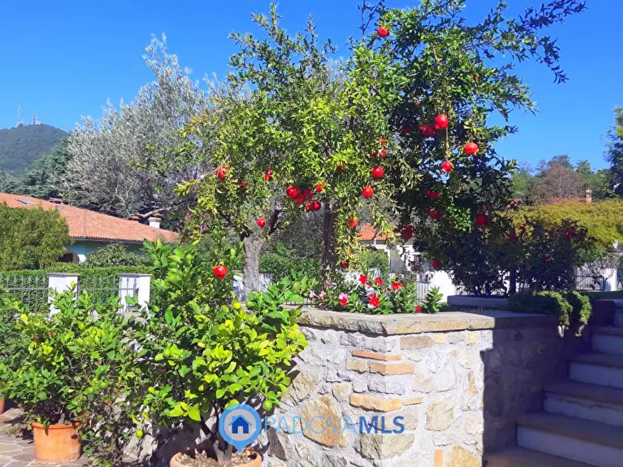 Immagine 24 di Villa in vendita  in Via Maso a Baone