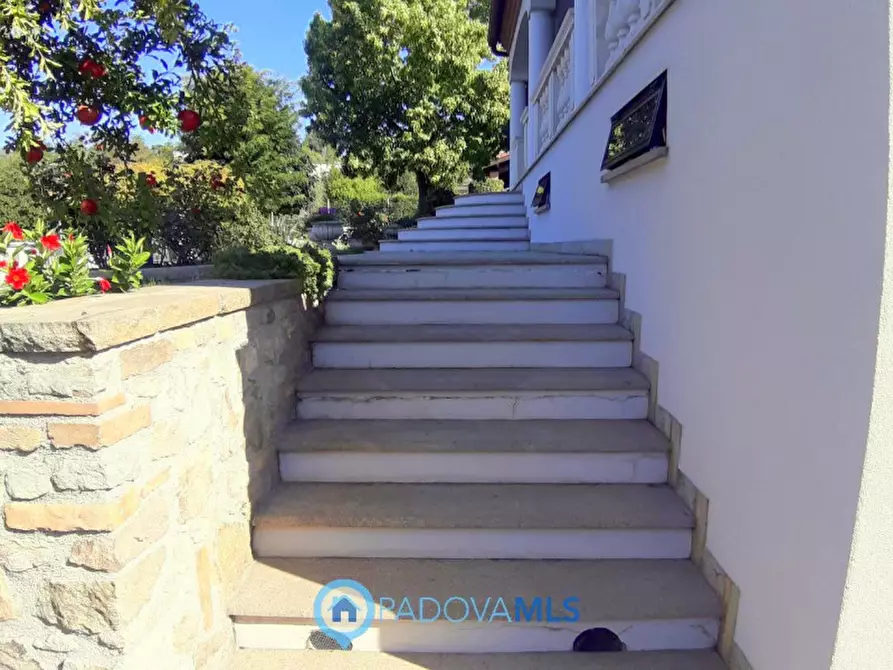 Immagine 26 di Villa in vendita  in Via Maso a Baone