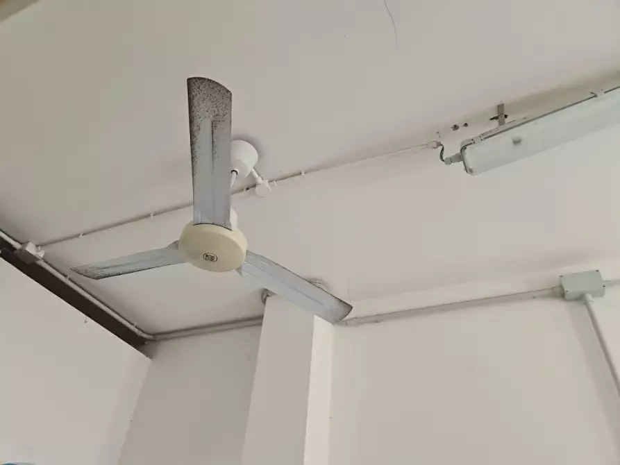 Immagine 17 di Attività commerciale in affitto  in Viale Giacomo Leopardi 25 a Comacchio