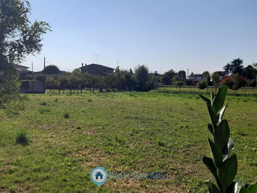 Immagine 8 di Casa indipendente in vendita  in Via Pozzonovo a Monselice