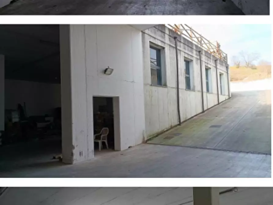 Immagine 3 di Magazzino in vendita  in Via Sacco a Pescantina