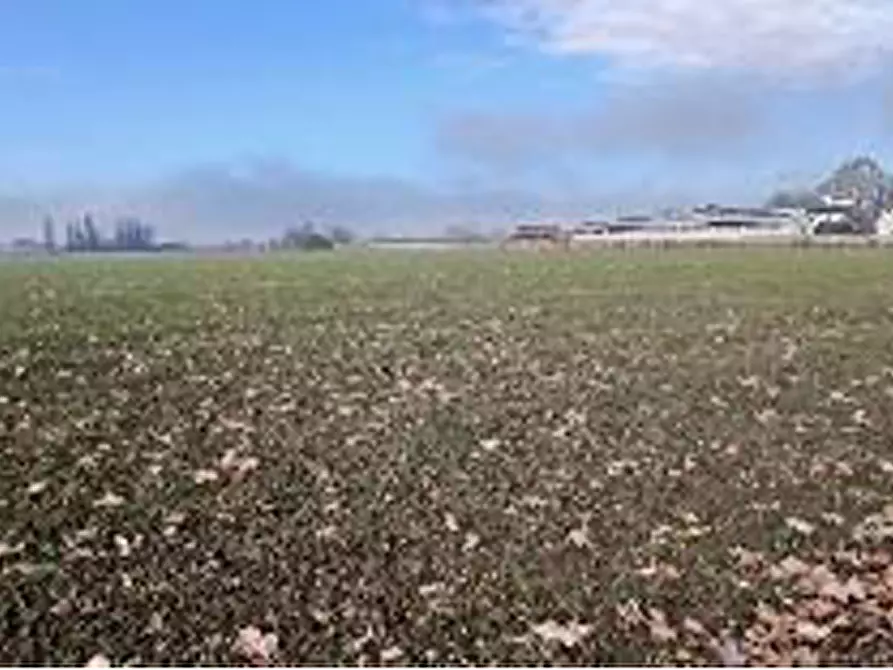 Immagine 2 di Terreno in vendita  in Località Ronchi a Povegliano Veronese