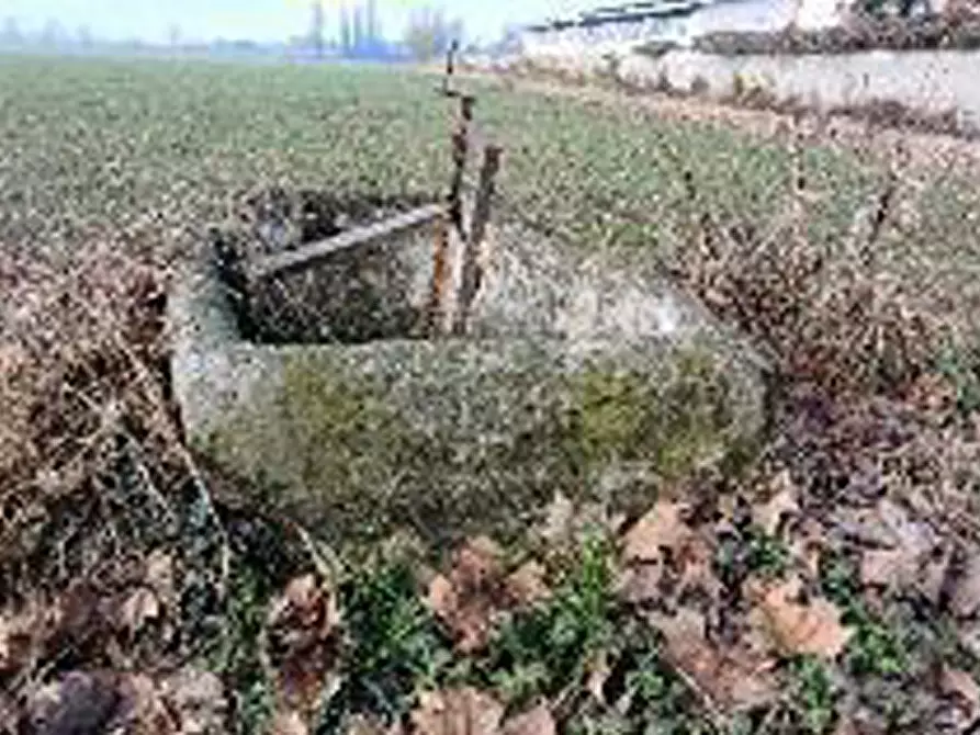 Immagine 3 di Terreno in vendita  in Località Ronchi a Povegliano Veronese