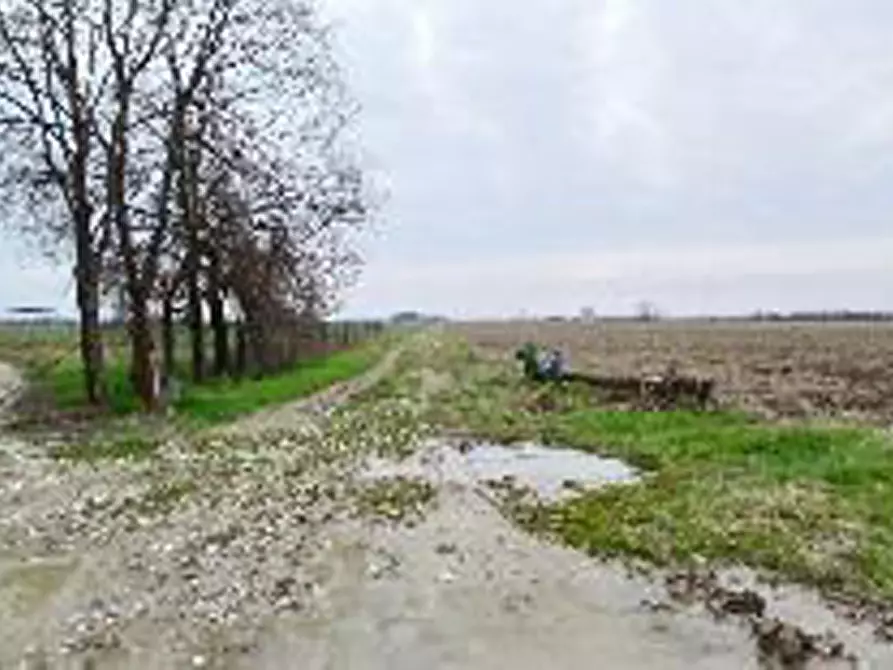 Immagine 4 di Terreno in vendita  in Località Ronchi a Povegliano Veronese