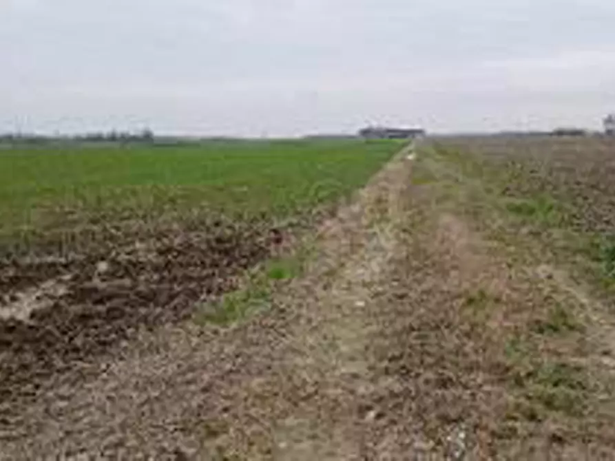 Immagine 5 di Terreno in vendita  in Località Ronchi a Povegliano Veronese