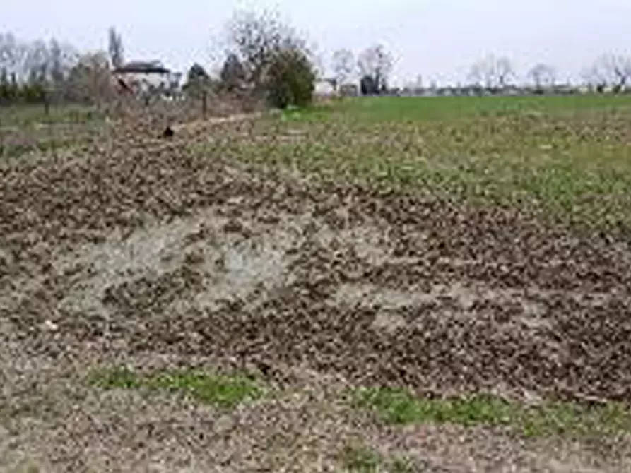 Immagine 6 di Terreno in vendita  in Località Ronchi a Povegliano Veronese