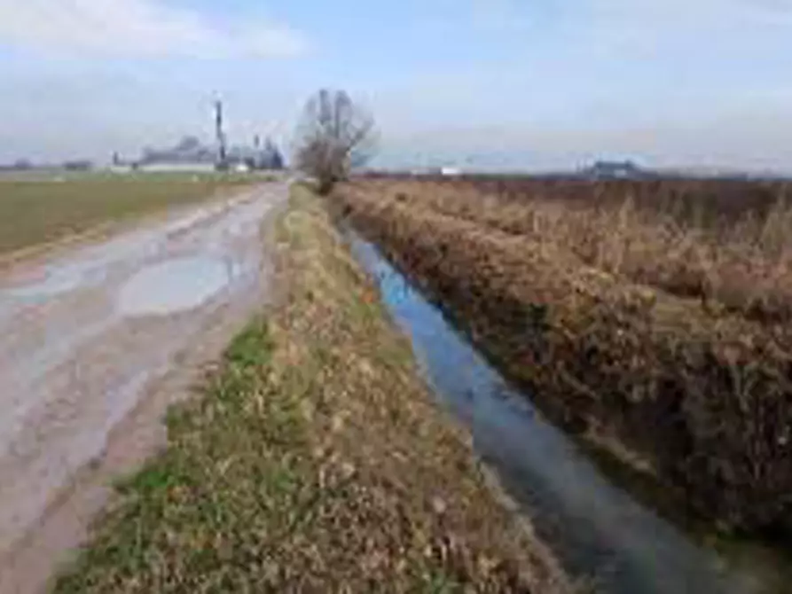 Immagine 3 di Terreno in vendita  in Località Ronchi a Povegliano Veronese